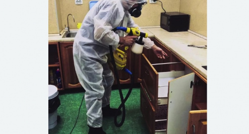 Уничтожение насекомых в квартире. Нефтеюганск