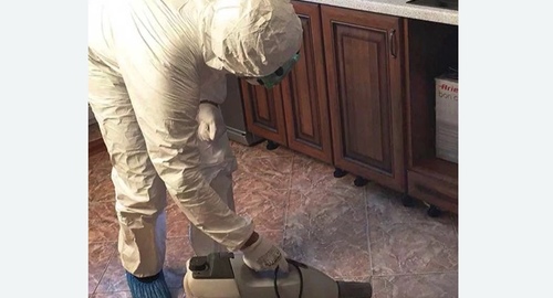 Уничтожение тараканов в квартире. Нефтеюганск